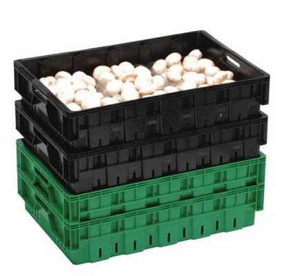 Nally 27L MUSHROOM CRATE