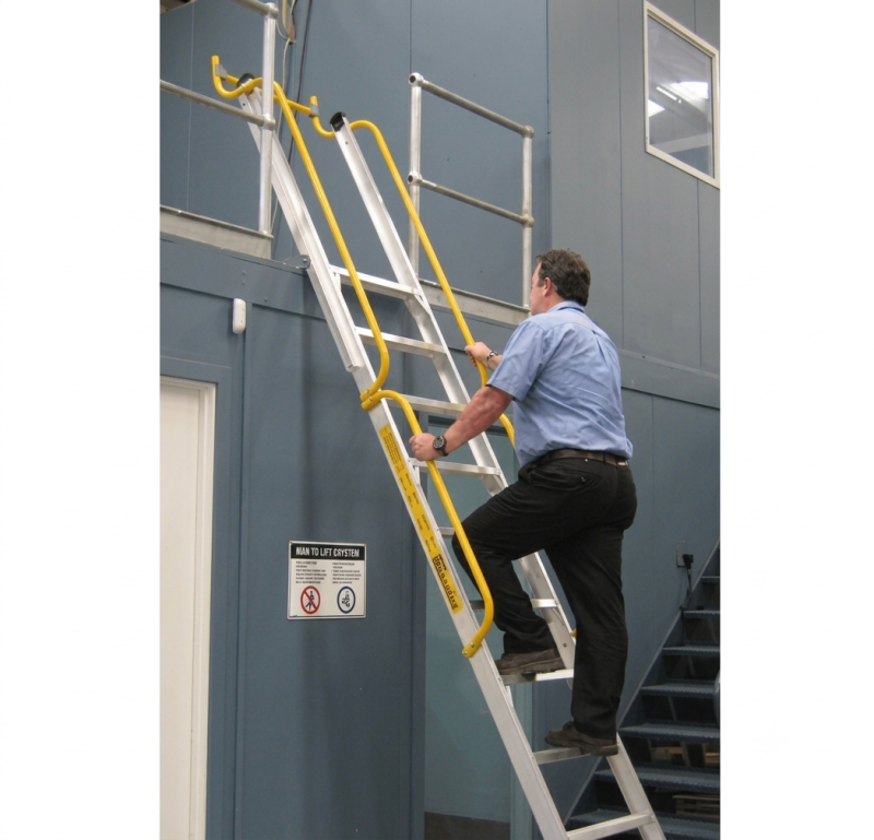 adjustable ladder system with handrails and safety gate providing secure access to elevated warehouse platform